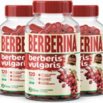 3 Berberina 360 Cápsulas 500mg Premium