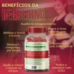 4 Berberina 480 Cápsulas 500mg Premium - Imagem 3