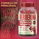 4 Berberina 480 Cápsulas 500mg Premium - Imagem 2