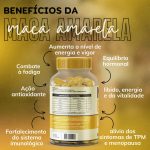 1 Maca Peruana Amarela 120 Cápsulas 500mg Premium - Imagem 3