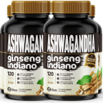 4 Ashwagandha Ginseng Indiano 480 Cápsulas 500mg Premium