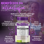 3 Alcachofra 360 Cápsulas 500mg Premium - Imagem 3