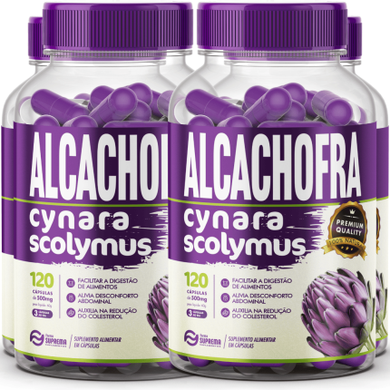 4 Alcachofra 480 Cápsulas 500mg Premium