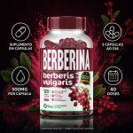 Berberina 120 Cápsulas 500mg Premium - Imagem 5