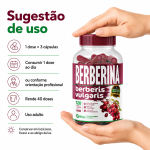 Berberina + Morosil Vitamin C Ação Inibidora 240 Cápsulas 500mg Premium - Imagem 3